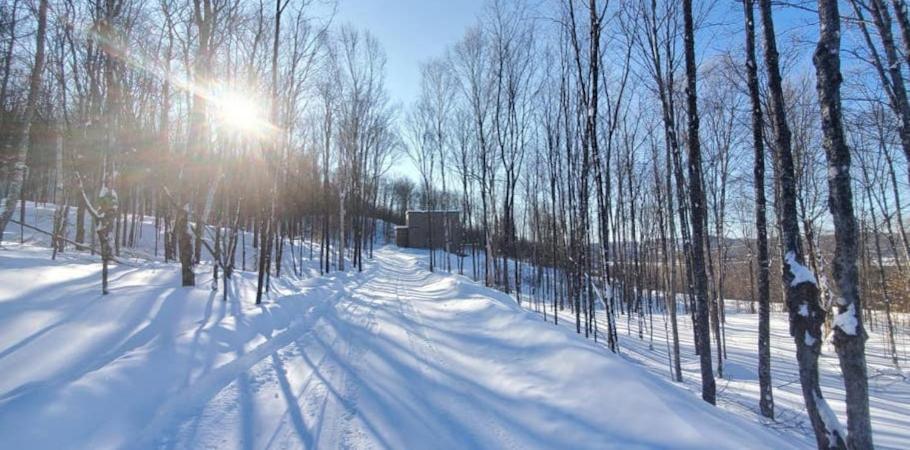 Chalet Serenity - Mont Tremblant Ski - Spa Sauna Wifi Tv Privet Chic Modern House Villa La Conception Esterno foto